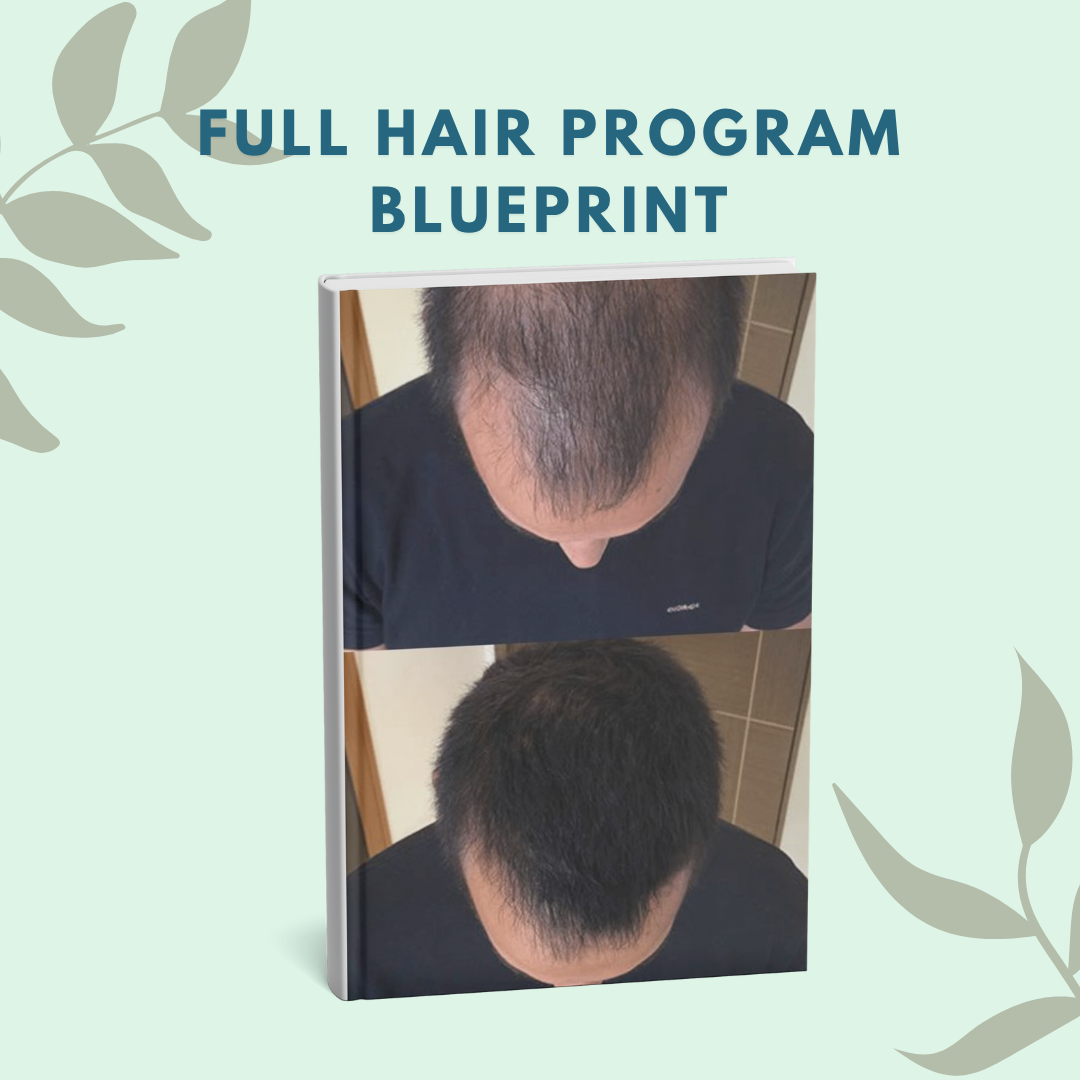 FULL HAIR PROGRAM BLUEPRINT