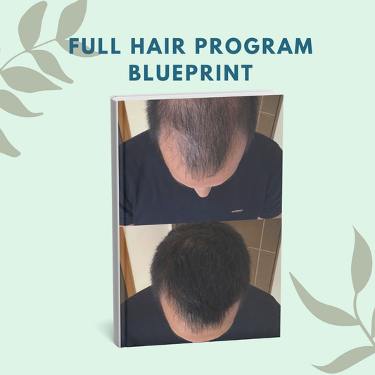 FULL HAIR PROGRAM BLUEPRINT