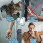 veer™ | Air Purifier That Clears Odors & Musty Air